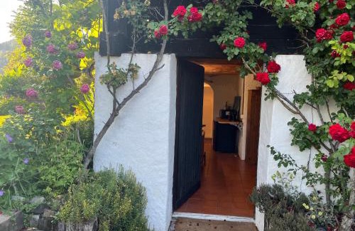 Eschenbach Apartment | Charming alps apartment perfect for walk/cycle/ski