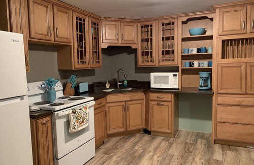 Ishpeming House | Charming Bluff home with view of Lake Bancroft