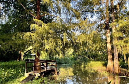 Plaquemine Cabin | Charming cabin on Lower Grand River — Bayou Pigeon, Louisiana