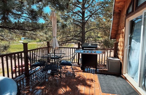 Hermosa Cabin | Charming Cabin with AC, heating, hot tub, and WiF, Park Pass in Hermosa