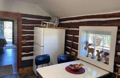 Bitely Cabin | Charming cabin with indoor Pickleball court! Unlimited access during the weekday