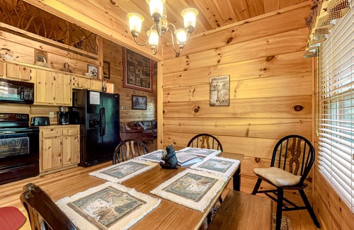 McCaysville Cabin | Charming cabin with private hot tub, high-speed WiF & central AC - dog-friendly