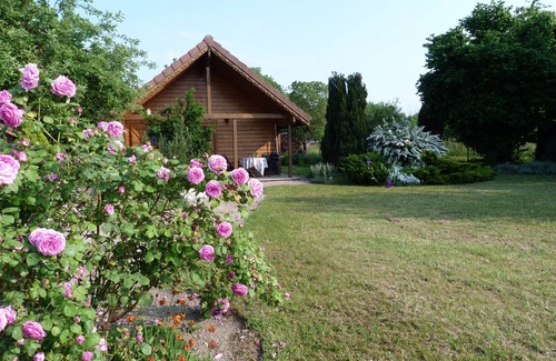 Sundhouse Ski Chalet | Charming chalet * Flowered park at Sundhouse 20m from the Rhône-Rhine canal