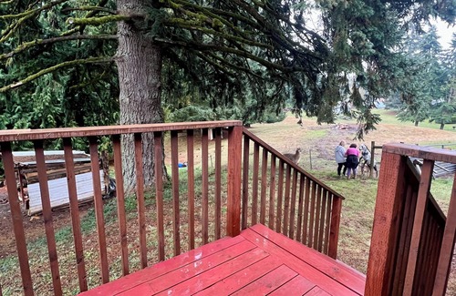St. Helens Cottage | Charming Cottage In Gorgeous St HelensnFrog’s Hollow Is Family & Pet Friendly