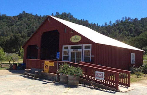 Paicines Cottage | Charming Cottage on 1,000 Acre Working Ranch - Only 10 miles from Pinnacles
