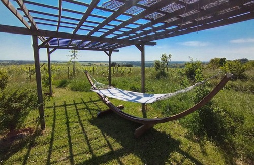 Val-du-Layon Cottage | Charming cottage with vineyard views, 4 beds, terrace and garden