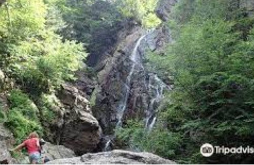 Dryden Cottage | Charming Cottage - Walking Distance to Wilson Lake + Main Street