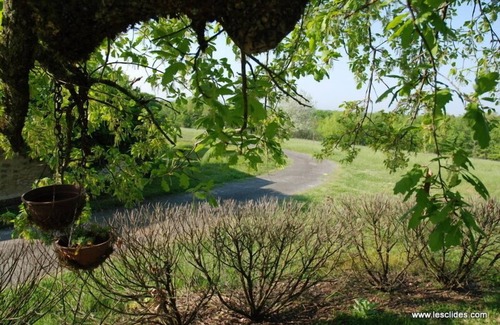 Mauzac-et-Grand-Castang Cottage | Charming cottage, quiet ideal rest with pool and sauna