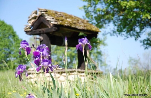Mauzac-et-Grand-Castang Cottage | Charming cottage, quiet ideal rest with pool and sauna
