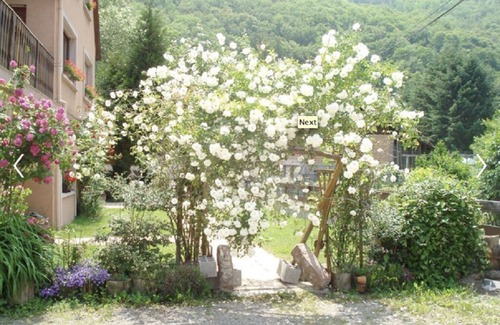 Thann Apartment | CHARMING GITE AT THE FOOT OF VOSGES