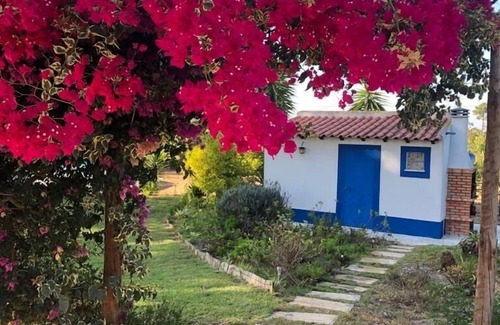 Fonte de Sesimbra House | Charming house, huge private garden next to Lisbon, Meco, Sesimbra