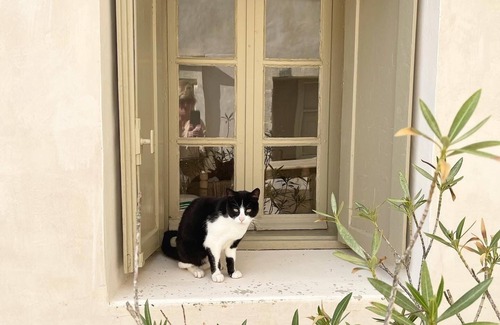 Aubussargues House | Charming house in a very quiet village close to Uzès