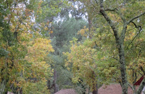 Ares House | Charming house in wooded grounds with swimming pool 500m from the beach