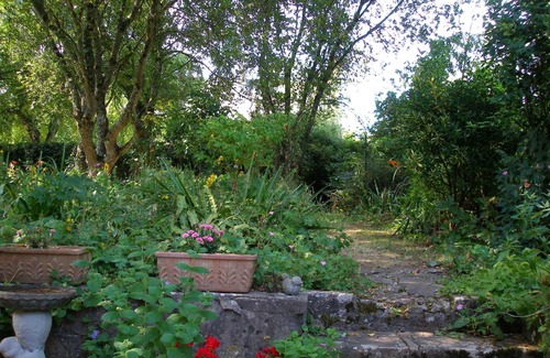 Vindefontaine House | Charming large house in a rural village with mature enclosed gardens