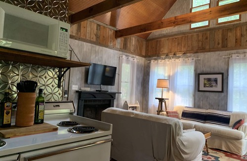 Wiley Cabin | Charming Mountain Cabin close to Lake Burton!