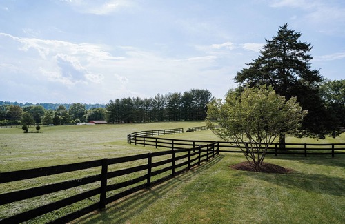 Warrenton Apartment | Charming Presidential Suite with full kitchen - The Inn at Black Horse Manor