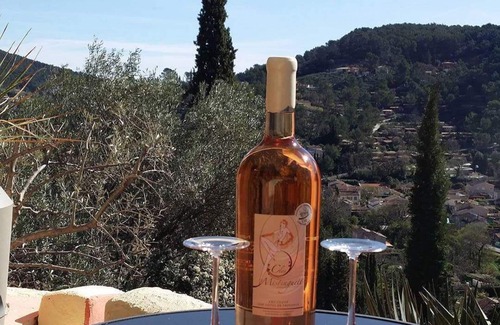 Sollies-Toucas Apartment | Charming Provençal village studio Var Côte d'Azur well located