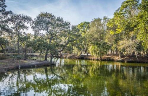 Folly Beach Apartment | Charming Quiet 1 Bd Condo