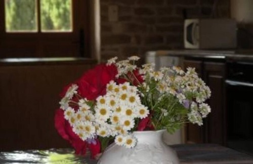 Dommartin-aux-Bois Cottage | Charming Renovated Cottage with Large Garden near Épinal