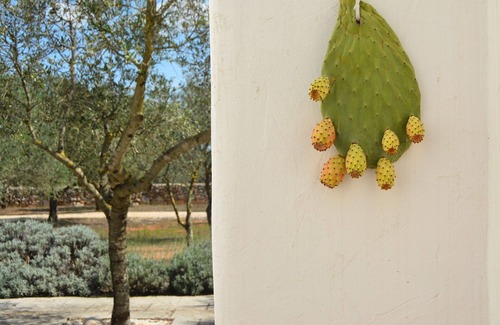 Castro House | Charming villa with large garden and proximity to the sea
