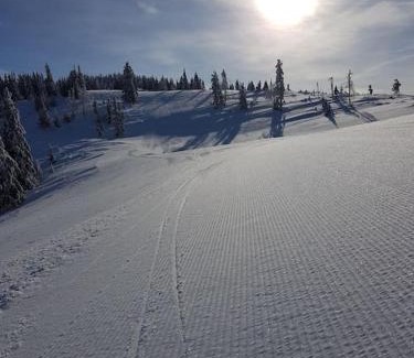 Jaraba Ski Chalet | Chata Božena - Čertovica
