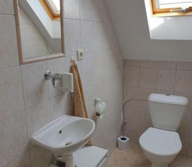 Liptovska Sielnica House | Chata Damal pri Liptovskej Mare