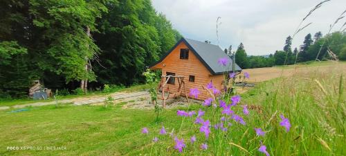 Werlas House | Chata DUDZIAKÓWKA