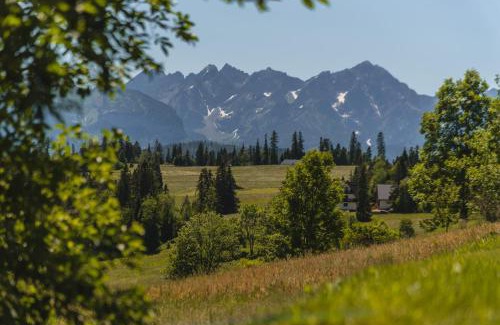 Bukowina Tatrzanska Villa | Chata Groń