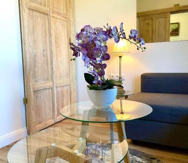 Suprasl Apartment | CHATA OTWARTYCH OKIENNIC Pokoje Gościnne