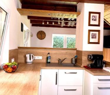 Neznasov Apartment | Chata u soutoku Lužnice a Vltavy