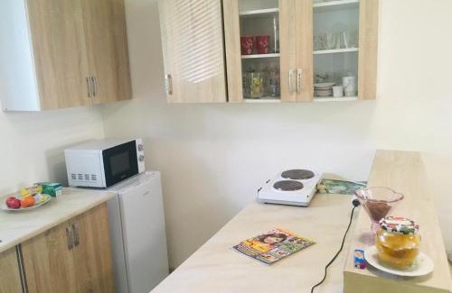 Myto pod Dumbierom House | Chata v záhrade