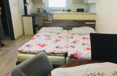 Myto pod Dumbierom House | Chata v záhrade