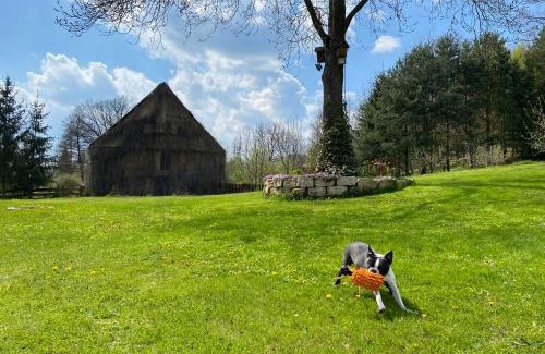 Wlen Villa | Chata Zbychówka