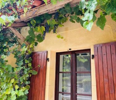 Liorac-sur-Louyre Villa | Chateau De La Ricardie Beautiful Rural Property Gite Villa