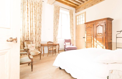 Ingrandes-de-Touraine Other | Château de Minière- Stay in the heart of the vineyards-16 people