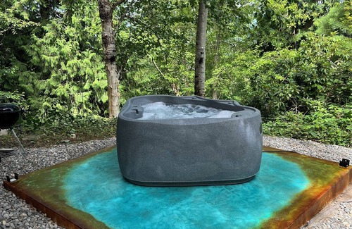 South Hill Apartment | Chateau du mont Rainier - a basement apartment w a view of Mt Rainier & hot tub