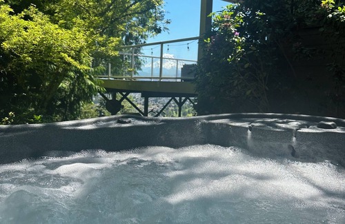 South Hill Apartment | Chateau du mont Rainier - a basement apartment w a view of Mt Rainier & hot tub