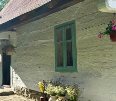 Nowy Zmigrod Ski Chalet | Chatka w Beskidzie Niskim