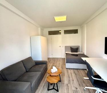 Villingen-Schwenningen House | Check In by BeOne