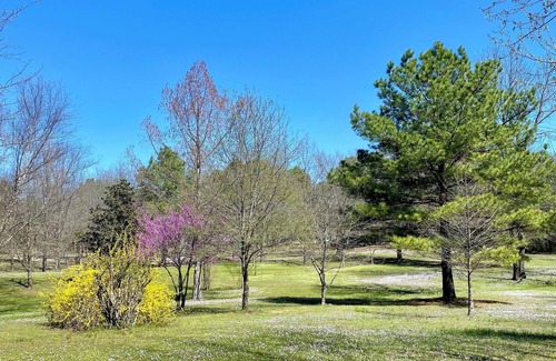 Plainview Cabin | Cheerful cabin with KING bed and WiFi, AC in charming Plainview
