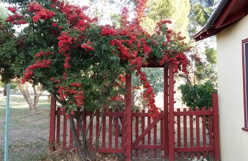 Cherry Valley Cottage | Cherry Valley Guest Cottage