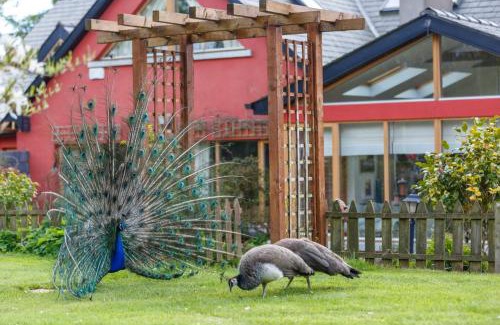 Roundwood Bed & Breakfast | Cherrygarth Cottage