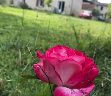 Mazerolles House | Chez Benoit, séjour Zen chez l'habitant