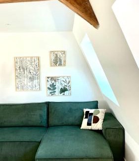 Saint-Amand-les-Eaux Apartment | Chez Clément et Mathilde -Duplex climatisé Hyper centre , tout équipé