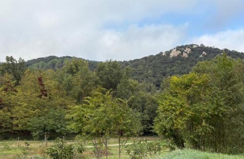 Arles-sur-Tech Apartment | Chez FERNAND-Vues sur les montagnes