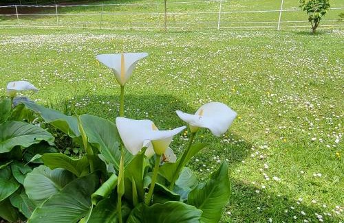 Senneville-sur-Fecamp Bed & Breakfast | Chez Kate et lolo