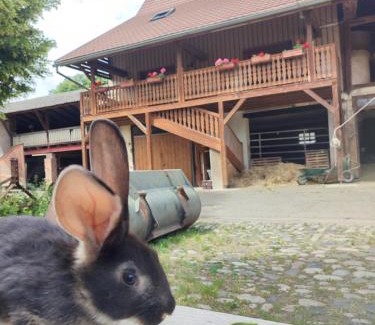 Horbourg-Wihr Apartment | Chez Marguerite Gîtes à la ferme