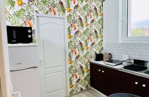 Timisoara Apartment | Chic appartment in a central but quiet area