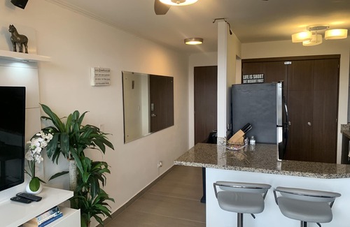 Heredia Apartment | Chic APT amazing views near airport and downtown