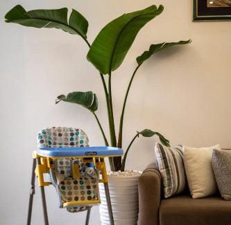 Cite El Houda Apartment | Chic & Cozy Retreat in Agadir